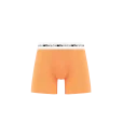 Ragaz Orange