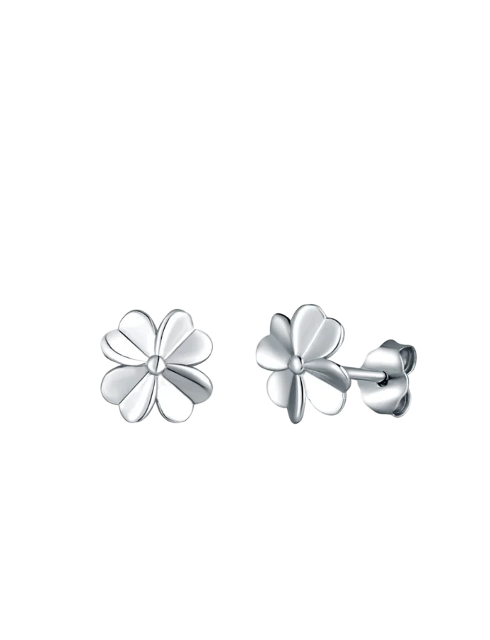 Fülbevaló Amuse Silver