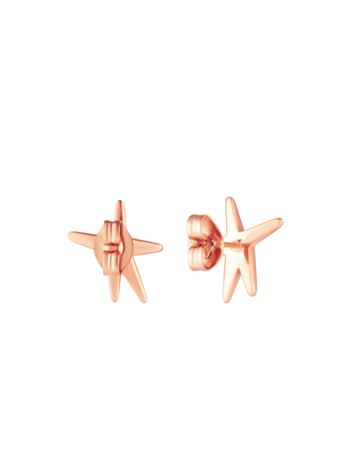Fülbevaló Nyxa Rose Gold