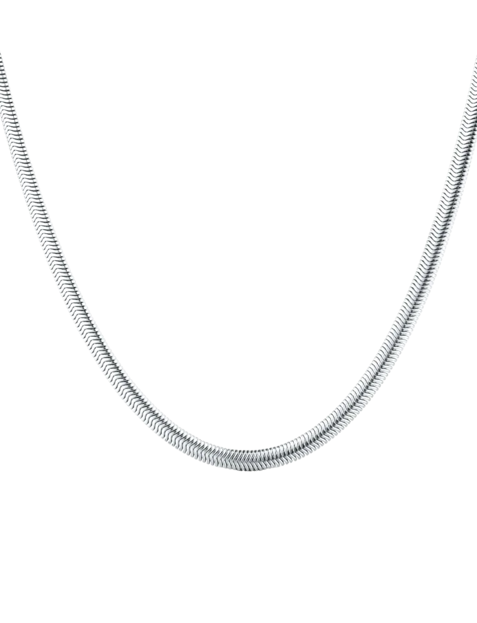 Nyaklánc Evoa Silver