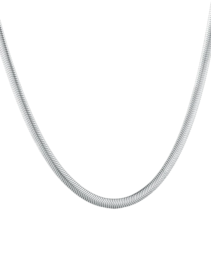 Nyaklánc Evoa Silver