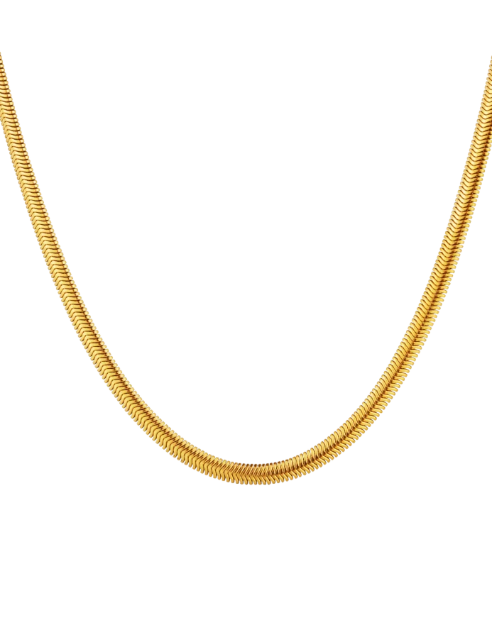 Nyaklánc Evoa Gold