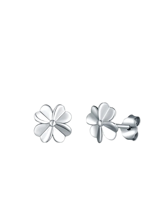 Fülbevaló Amuse Silver