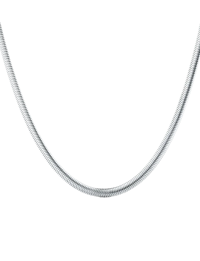 Nyaklánc Evoa Silver