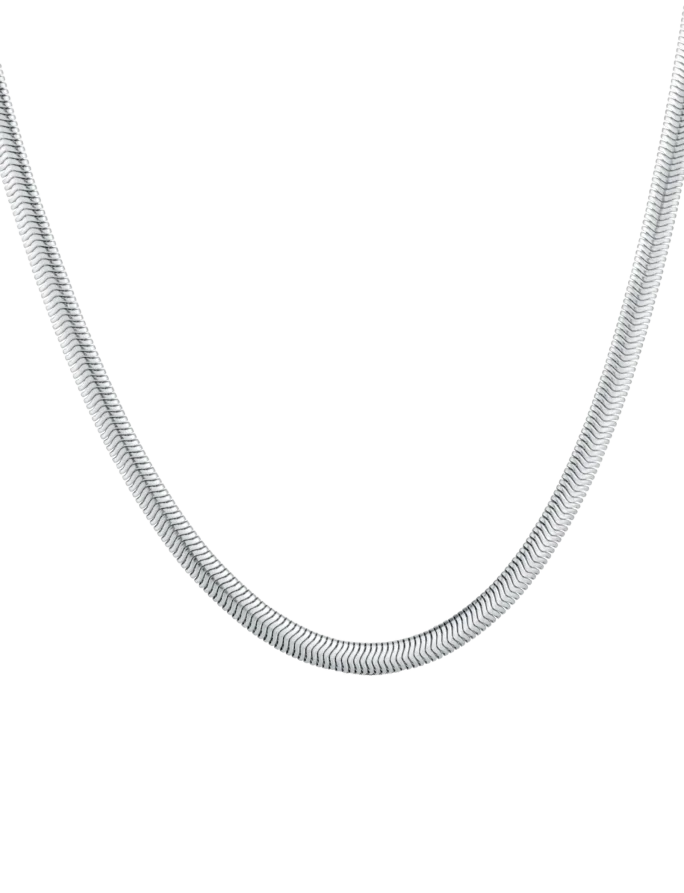 Nyaklánc Evoa Silver