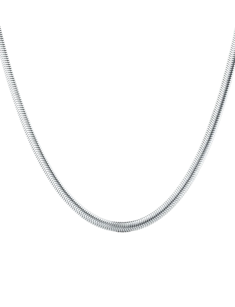 Nyaklánc Evoa Silver