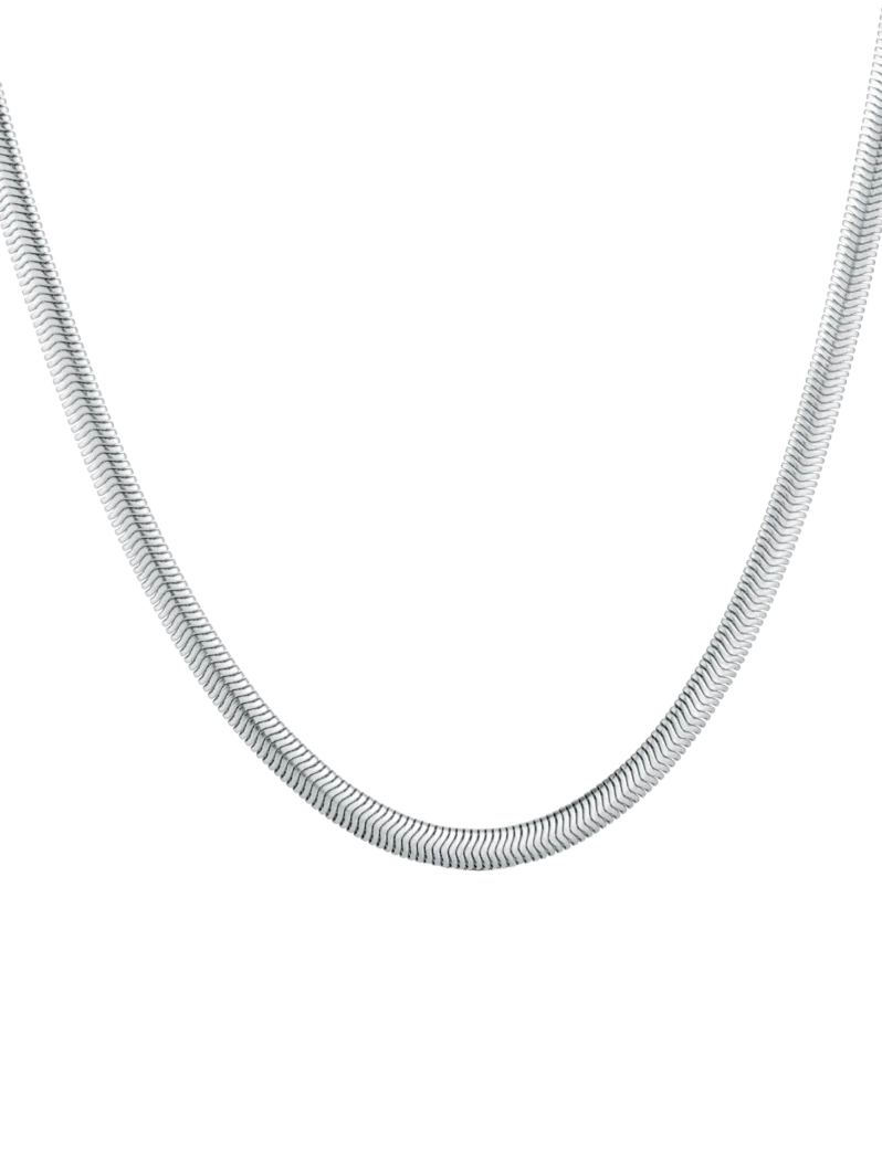 Nyaklánc Evoa Silver