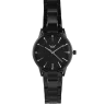 Aneirin Black