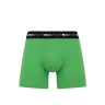 Ragaz Dark Grass Green